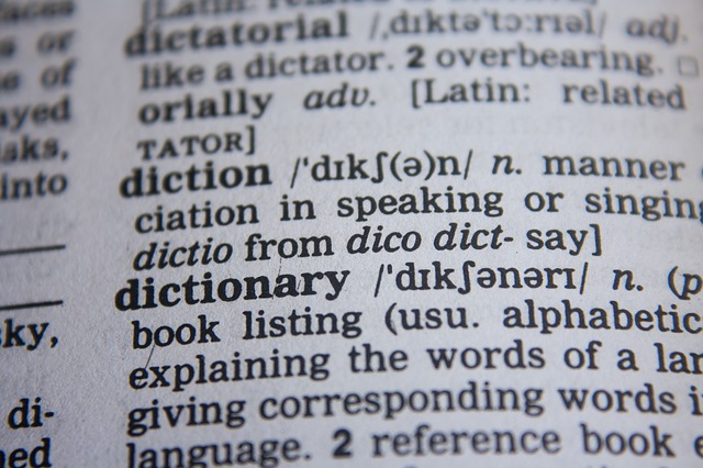 dictionary-390027_640