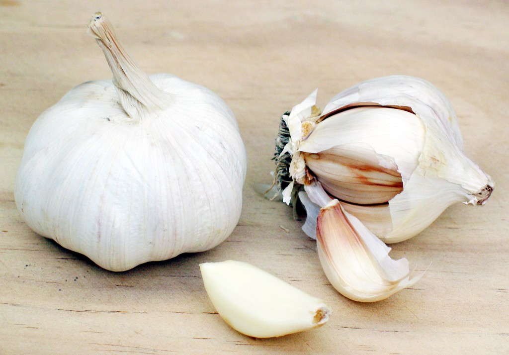 A vital ingredient for language learning
