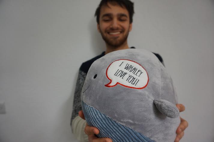 I don't agree. Look, this whale gushes sentiment!