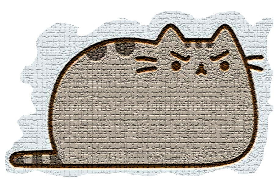 st catz