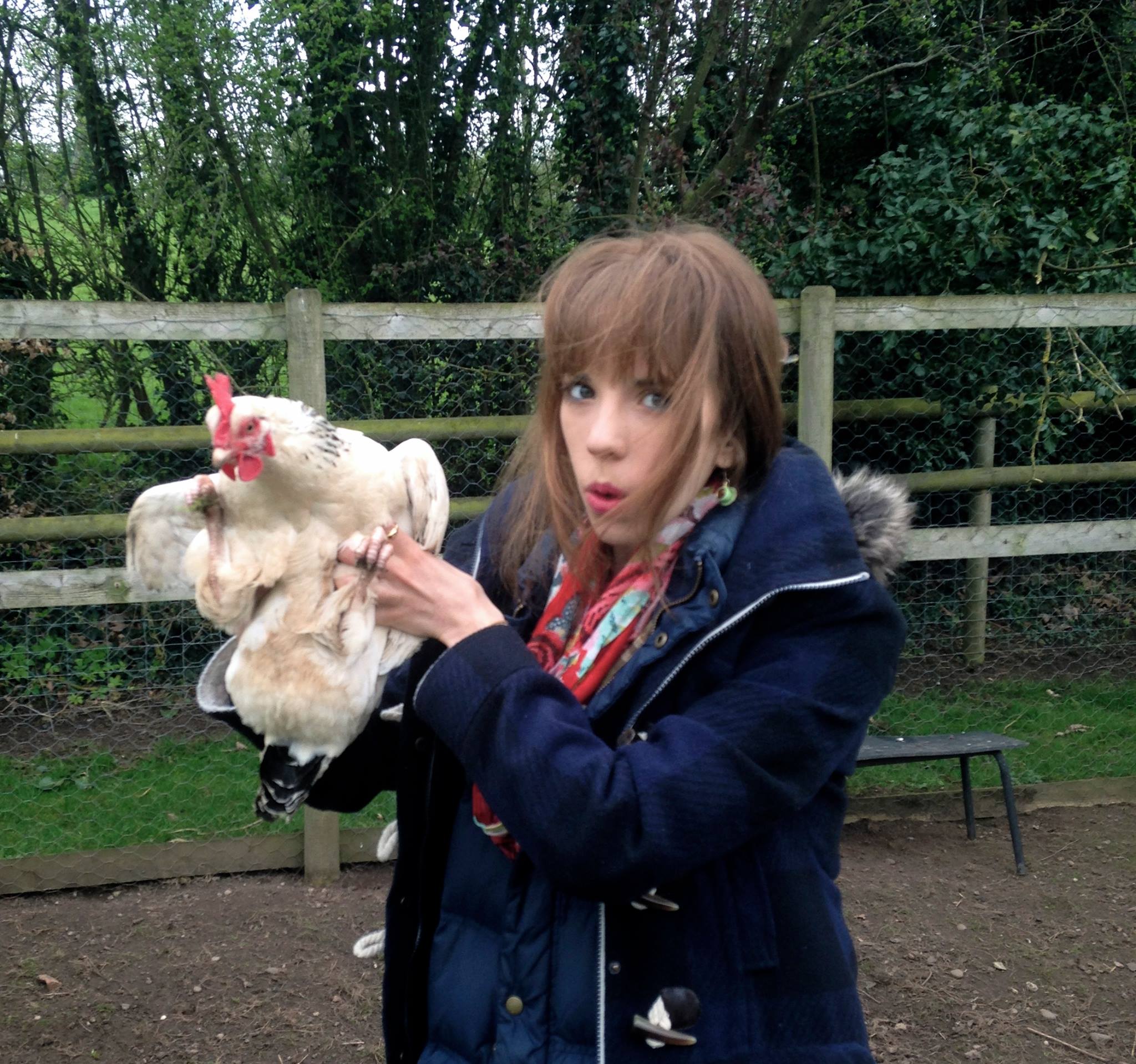 At best I can look after chickens. #MotherHen