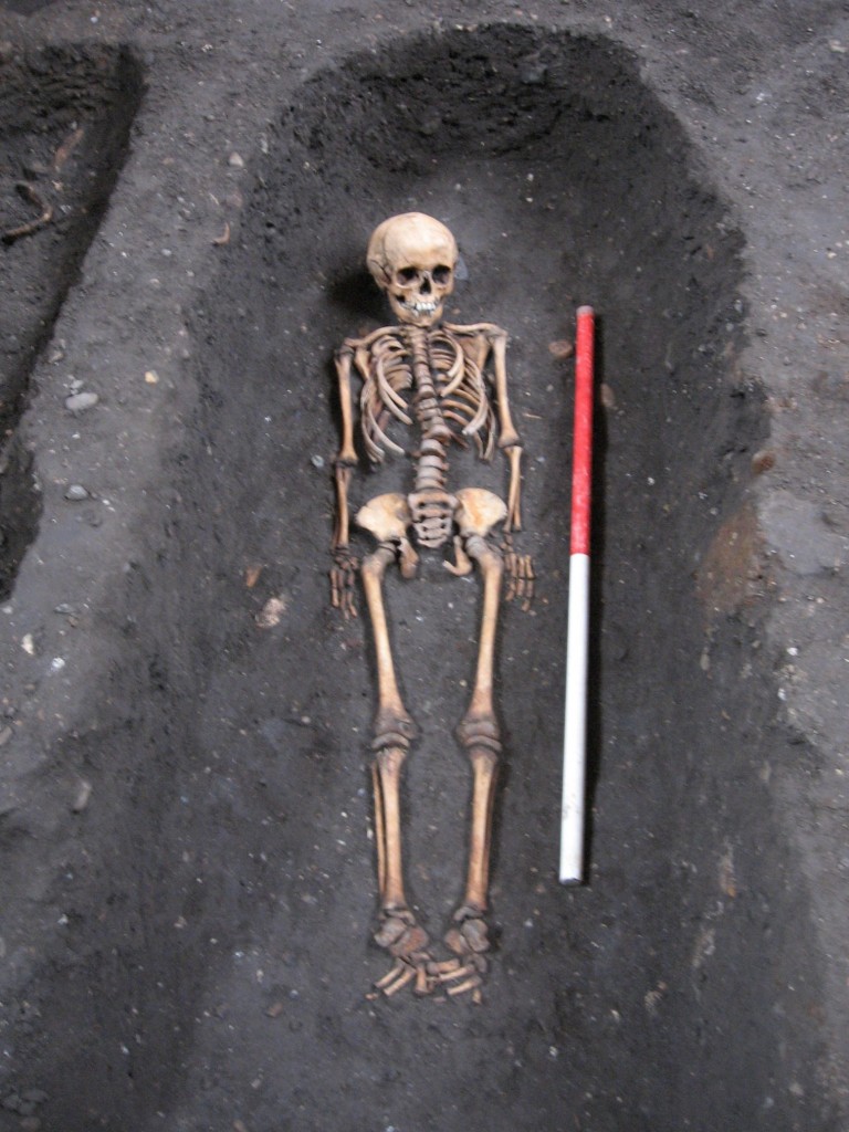 MASONS_CAMBRIDGE_BONES_08