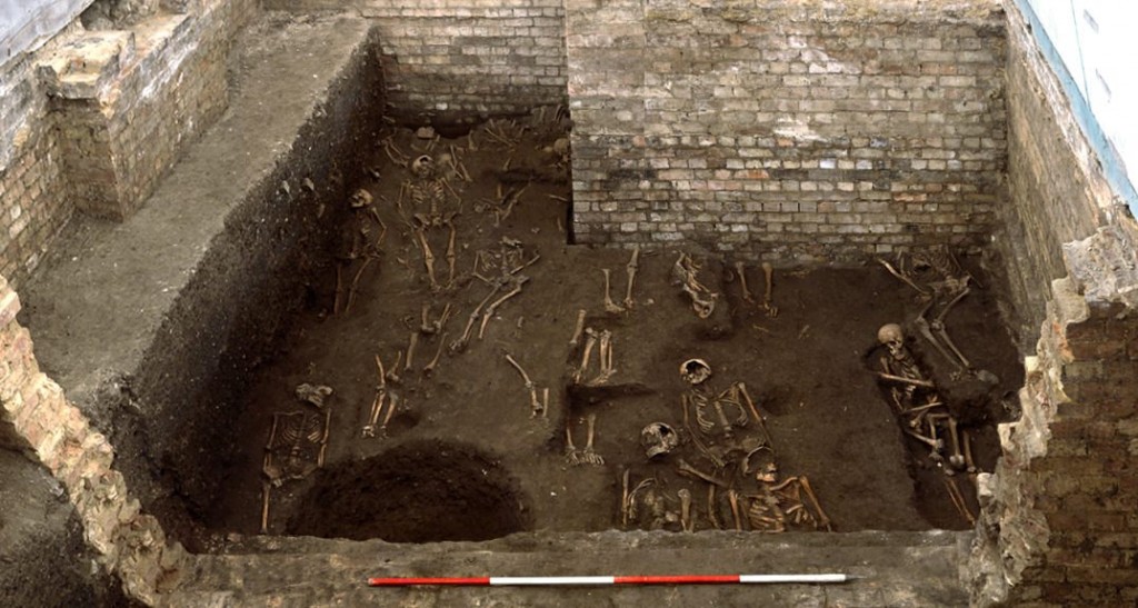 MASONS_CAMBRIDGE_BONES_13