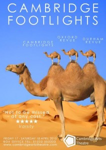 Standing on the humps of giants