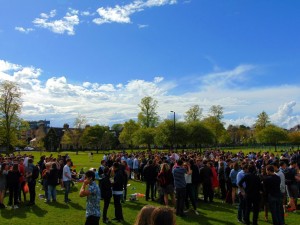 Sunny day