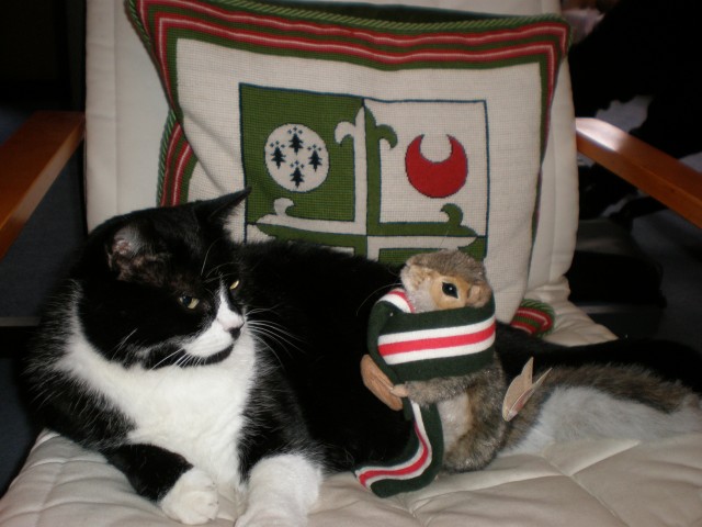 buster2