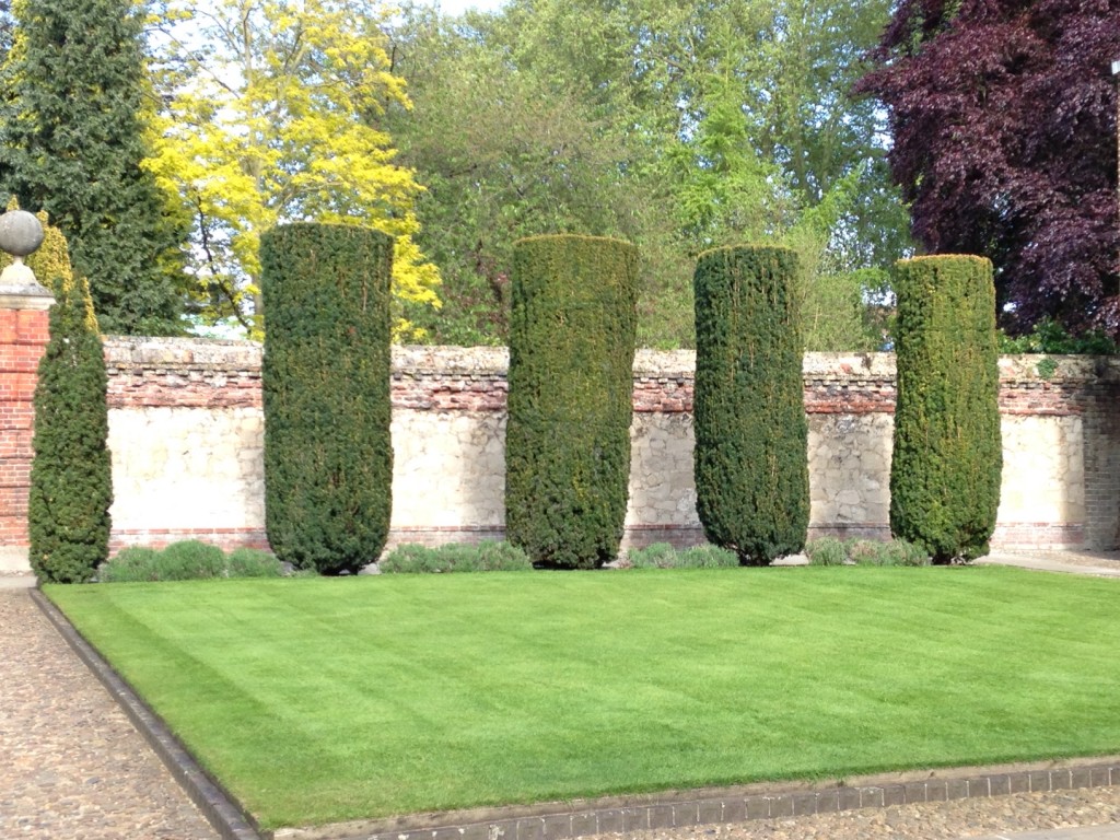 Pembroke's beautiful thick columns of bush