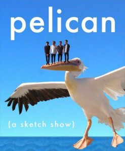 pelican