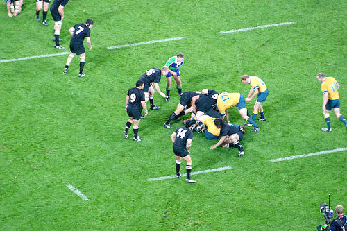 All_Blacks_Wallabies