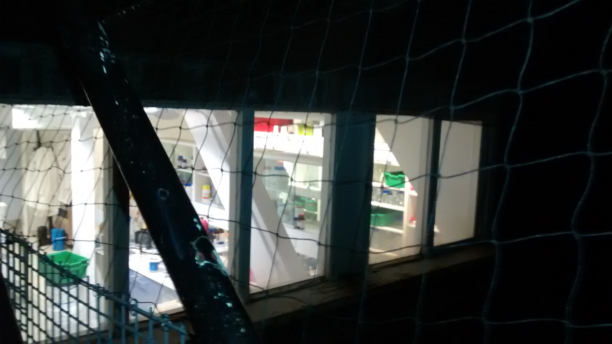 Well obviously I wasn't going to take a photo of one of the labs WITH a scientist.