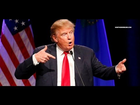 Trump For Tab