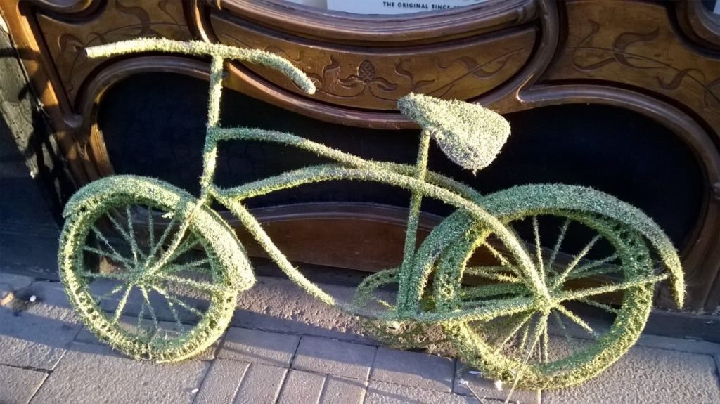 Somewhere in Cambridge is somone who can make hedge bikes and yet I fail tying my shoes 50% of the time.
