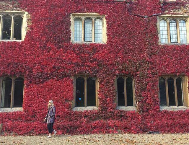 Not at all obvious what season it is