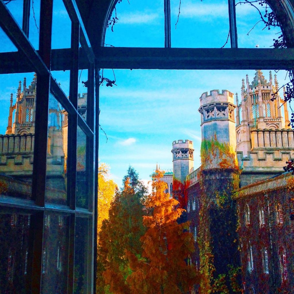 Bedroom views are dangerously tempting 