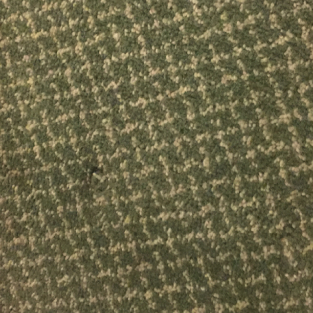 A carpet grim enough to conceal many a stain, many a secret, and many a spider