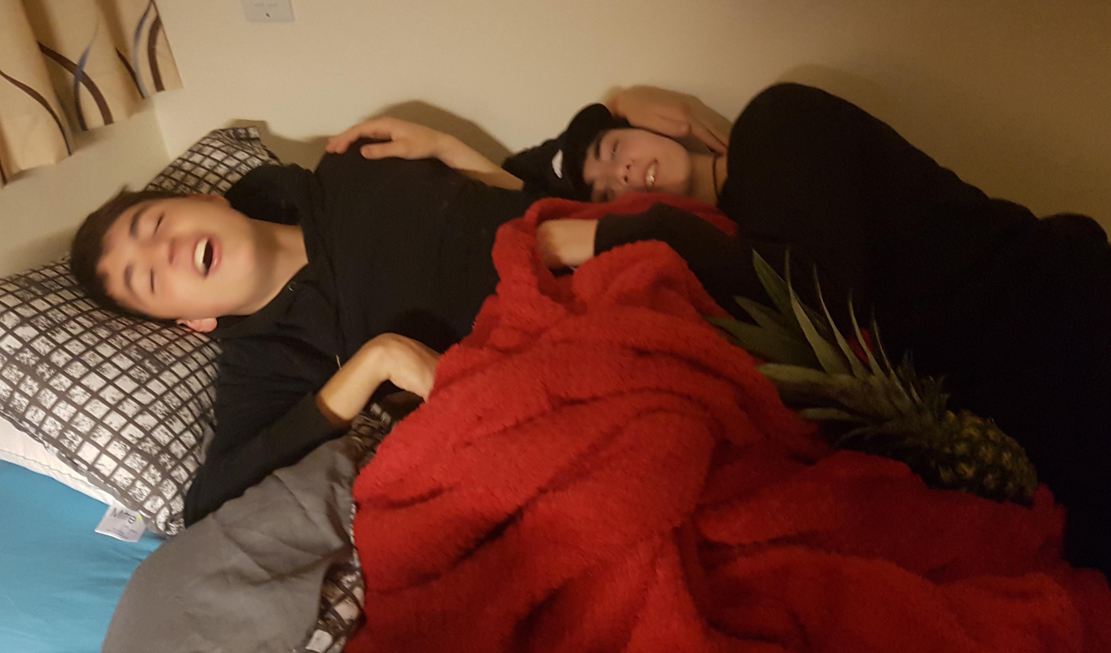 an image of domestic bliss 
