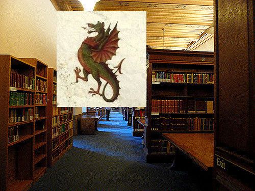 Image may contain: Shelf, Furniture, Bookcase, Book, Plant, Leaf, Room, Library, Indoors