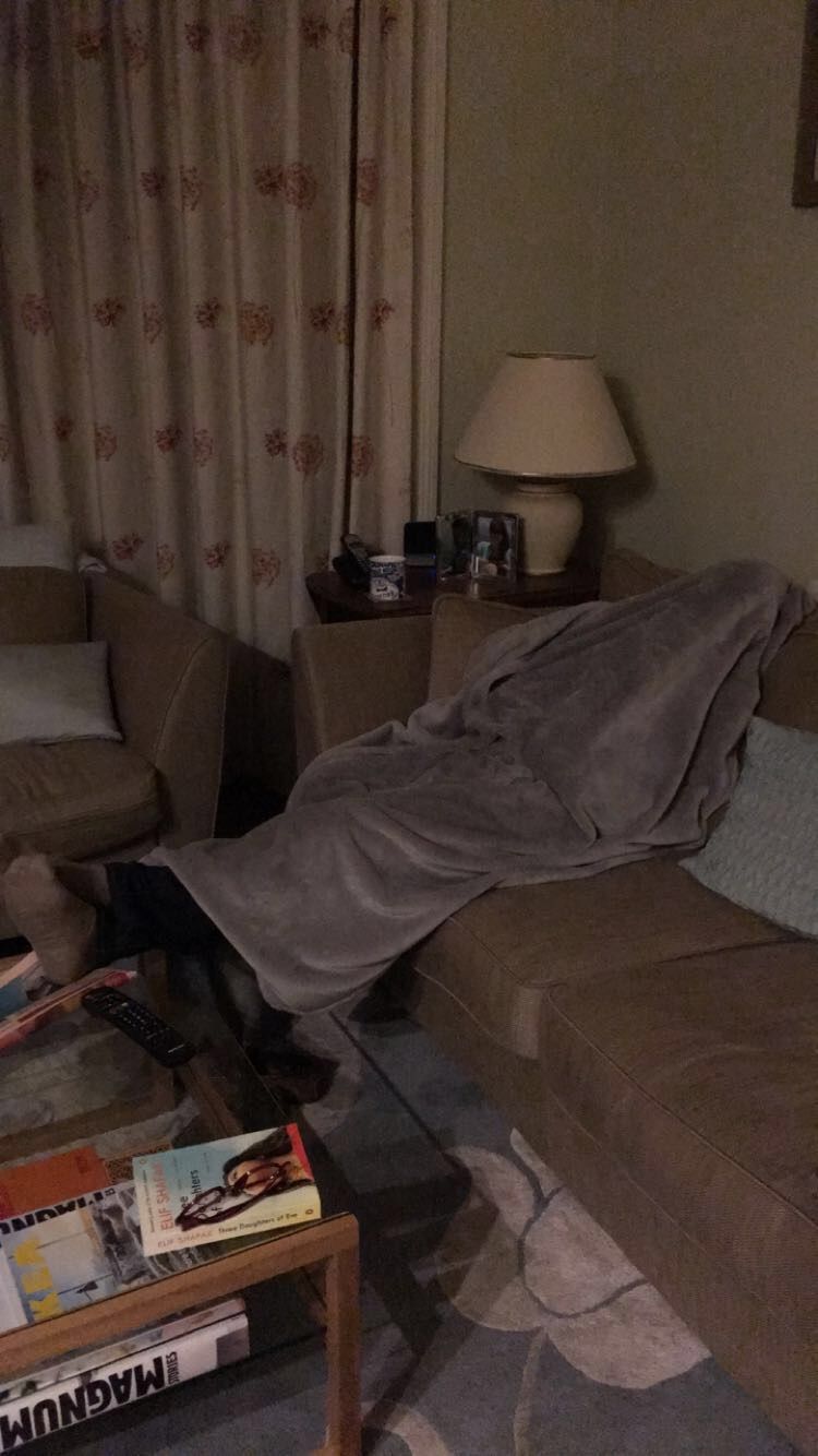 Image may contain: Book, Furniture, Couch