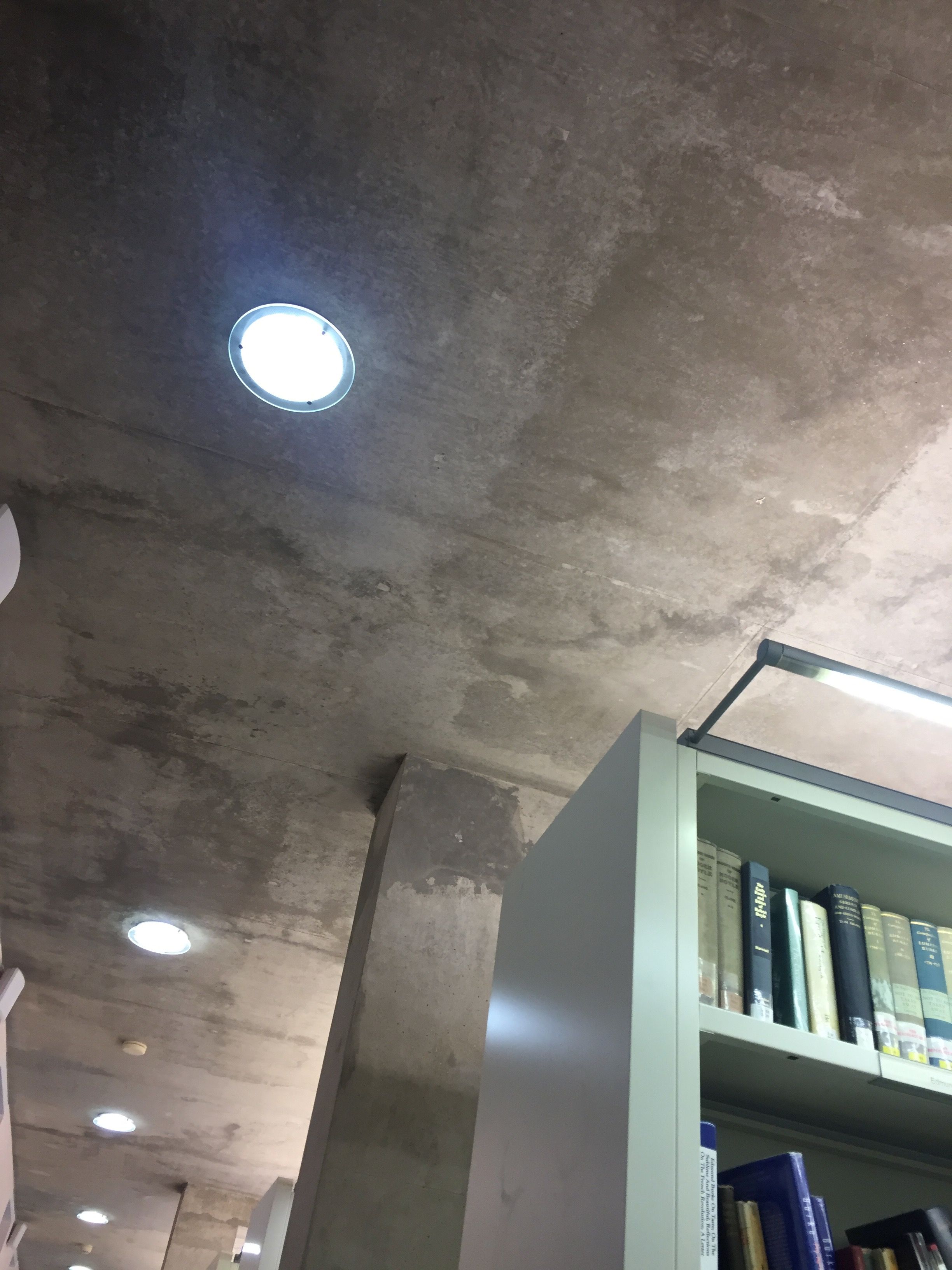 Image may contain: Light Fixture, Furniture, Bookcase