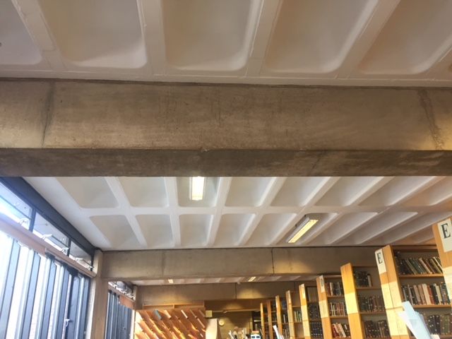 Image may contain: Vault Ceiling, Building, Architecture, Arched, Arch, Book, Room, Library, Interior Design, Indoors, Molding