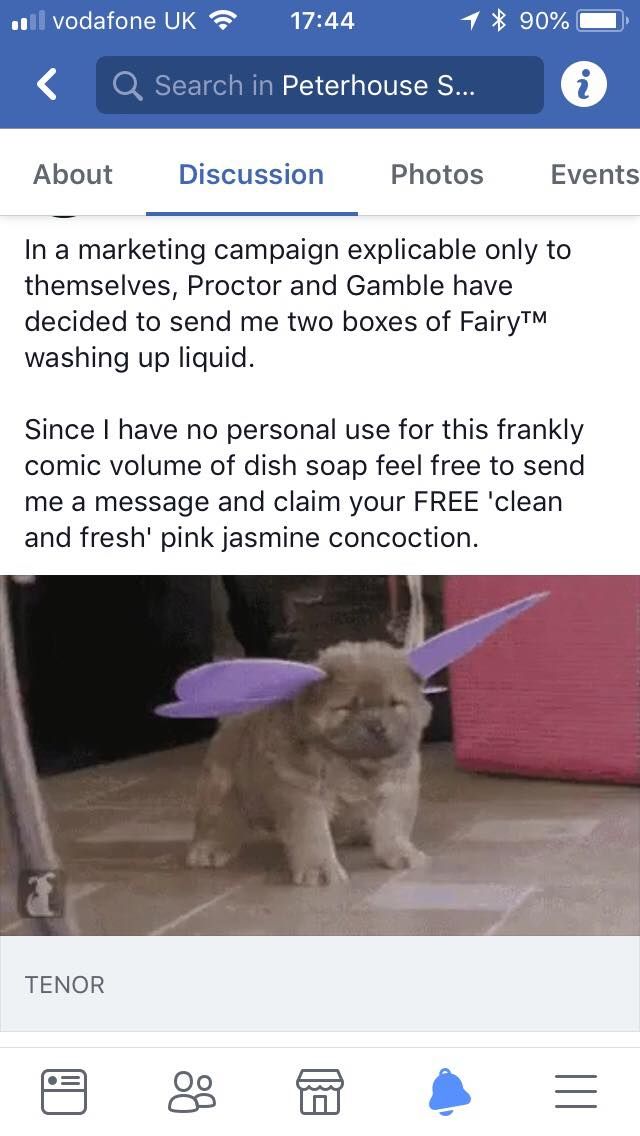 Image may contain: Kennel, Dog House, Den, Poster, Paper, Flyer, Brochure