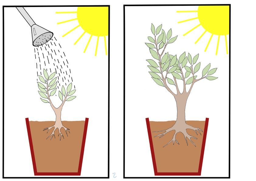 Image may contain: Text, Plant, Bird, Animal