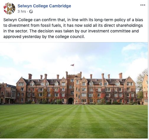 Image may contain: Vegetation, College, Lawn, Plant, Grass