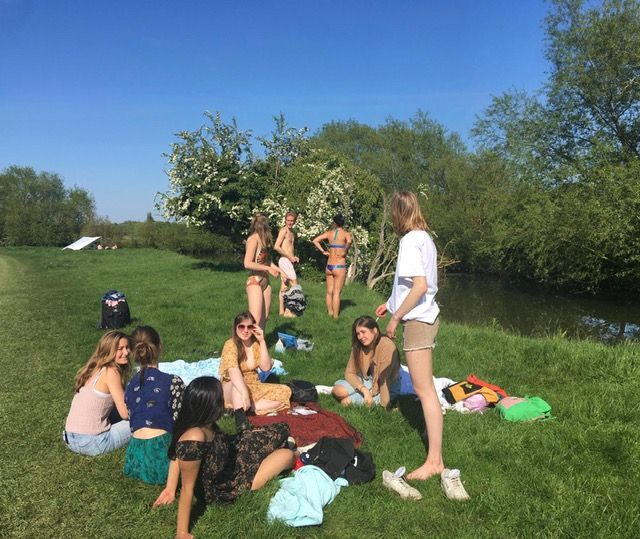 Image may contain: Girl, Summer, Vegetation, Female, Tree, Leisure Activities, Meal, Food, Apparel, Clothing, Shorts, Vacation, Lawn, Park, Yard, Nature, Outdoors, Human, Person, Plant, Grass