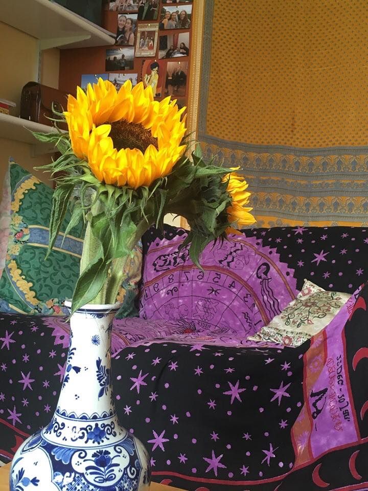 Image may contain: Flower Arrangement, Blossom, Flower, Plant, Furniture