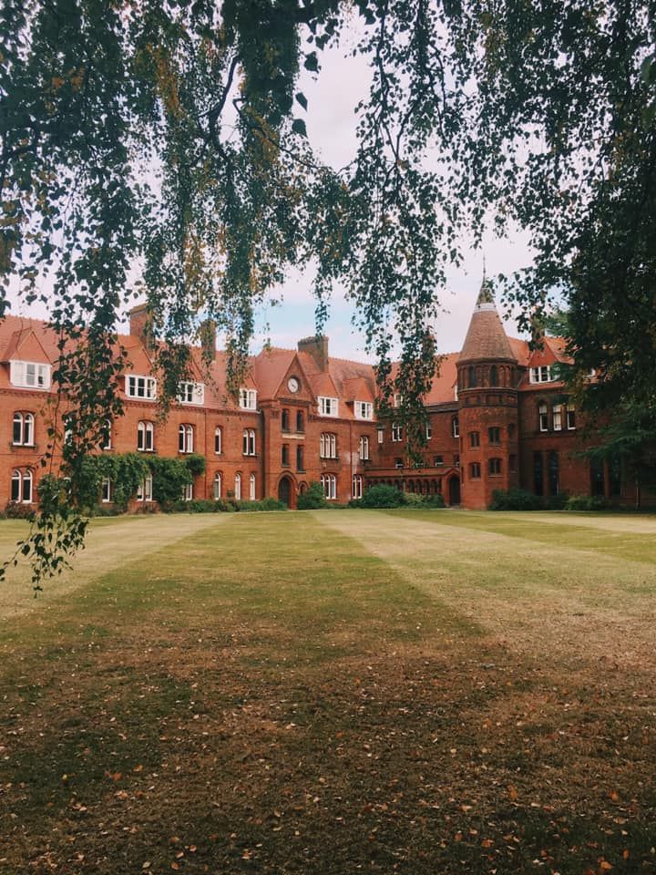 Image may contain: Lawn, Land, Nature, Forest, Woodland, Outdoors, Vegetation, College, Tree, Campus, Grass, Plant