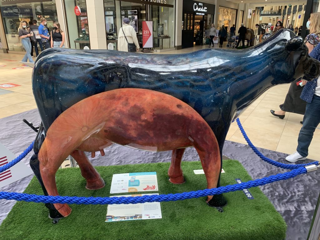 A cow painted as a navy blue sky and the moon