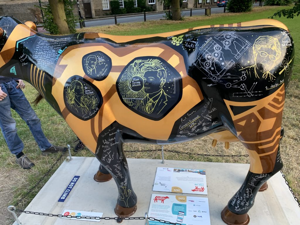 Black and gold cow covered in science facts