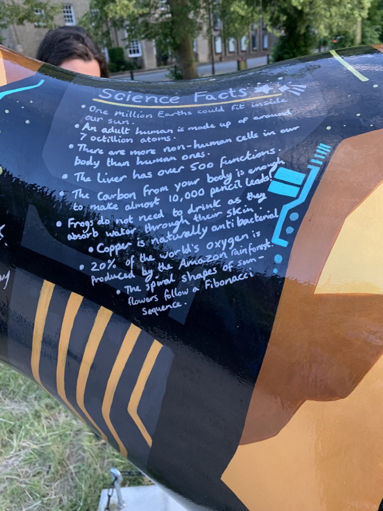 Neck of a black and gold cow statue which contains science facts