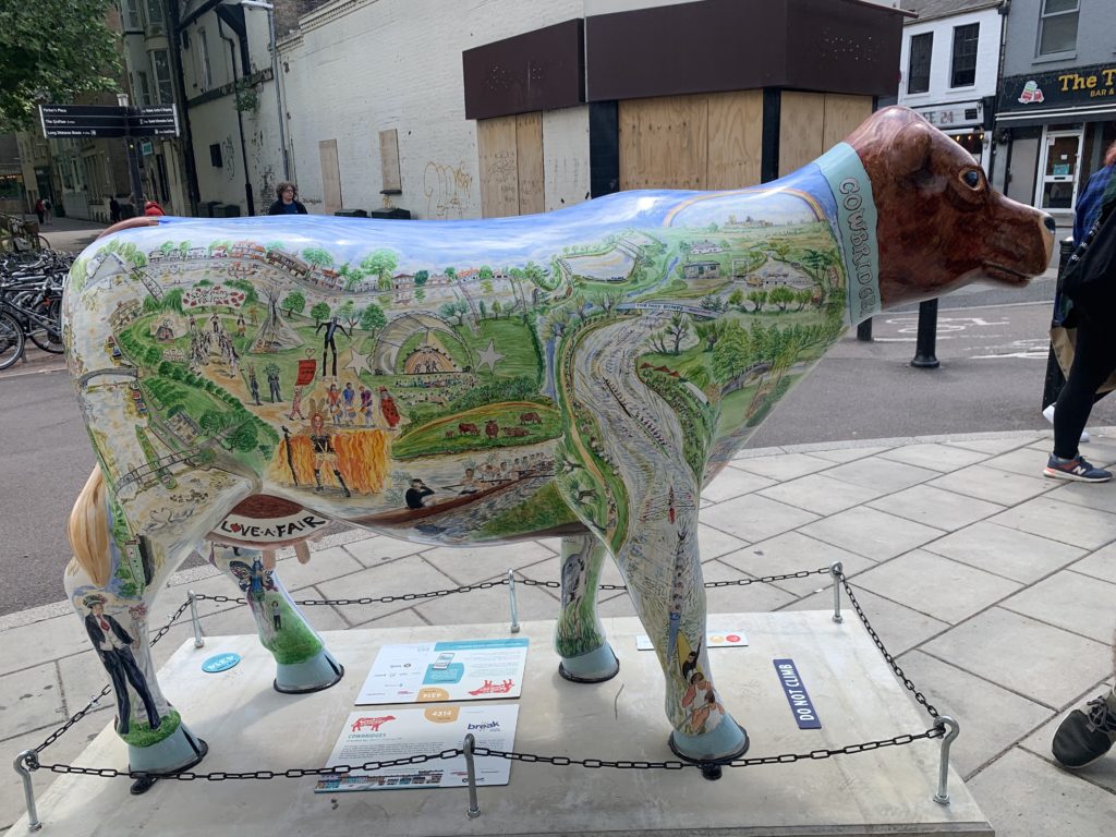 Cow with decoration of bridges of Cambridge