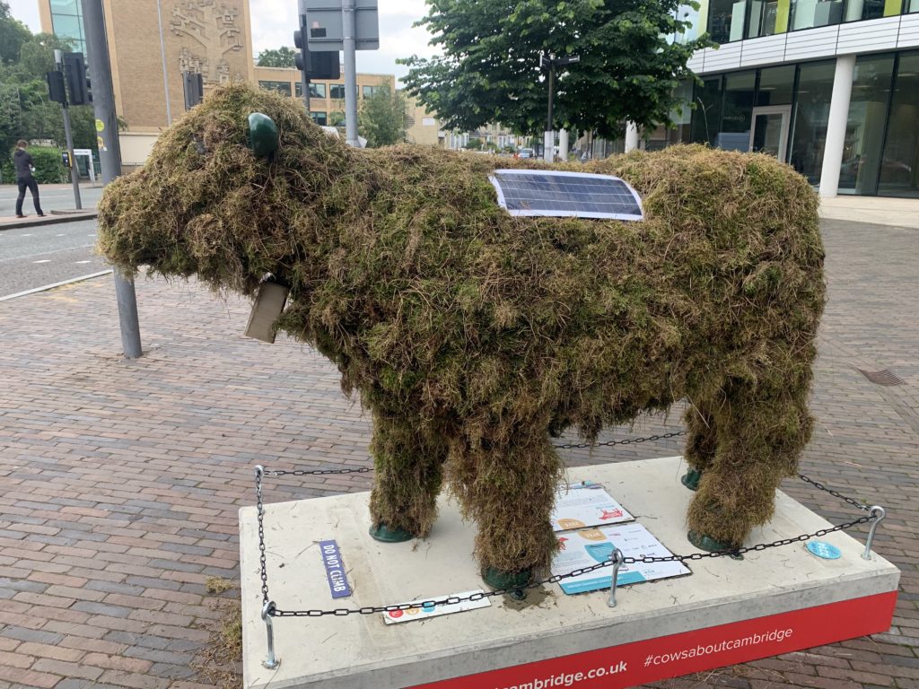 A cow made of moss
