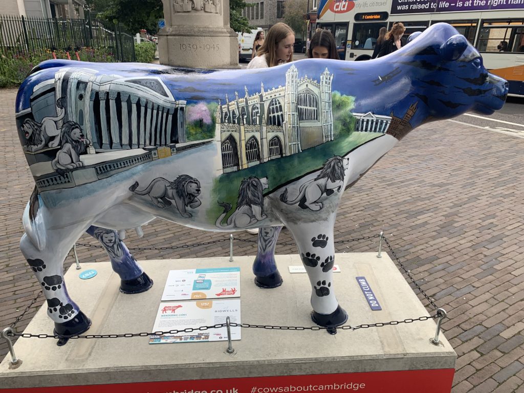A cow depicting lion statues and the Fitzwilliam museum