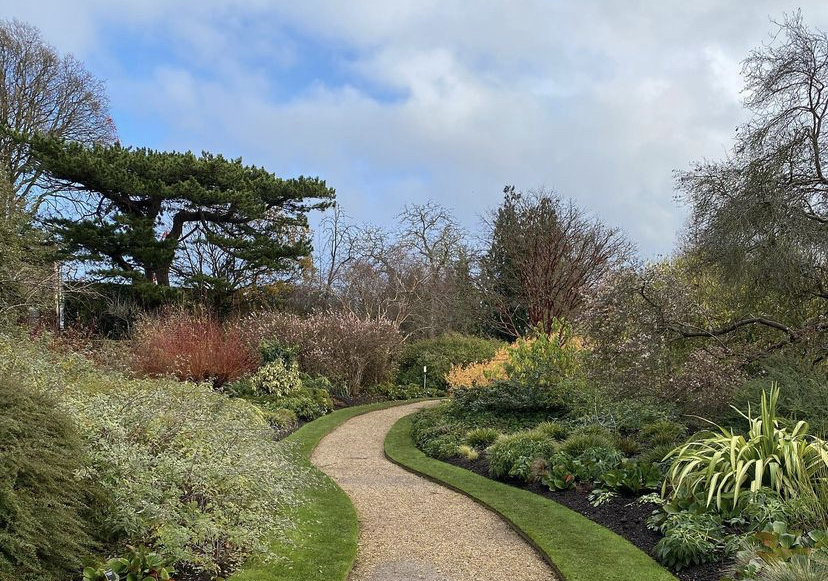 A pathway surrounded by plants and shrubs