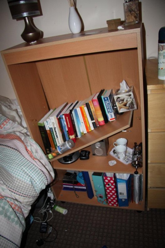 replacement bookshelf? priceless.