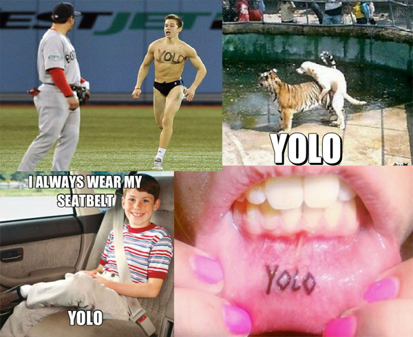 yolo