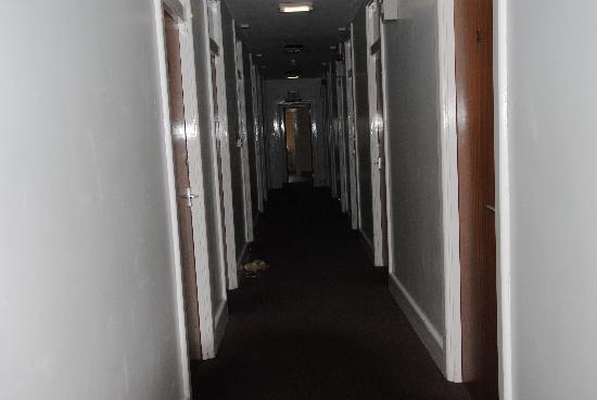 college-of-st-hild-st