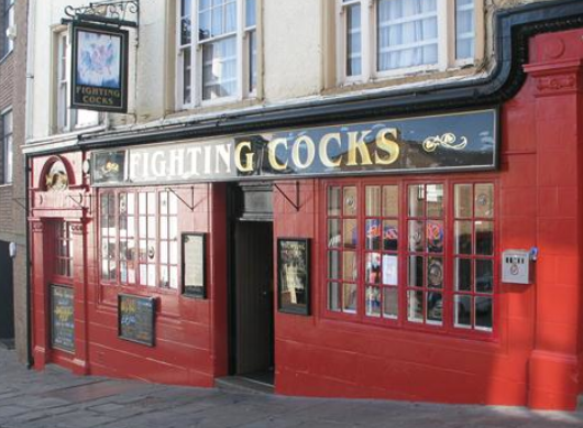 fighting cocks