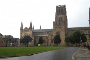 photo (19)