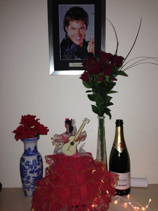 Who doesn't want the Hoff watching you while you're trying to get intimate.