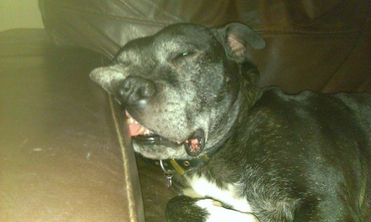 Just chillin'