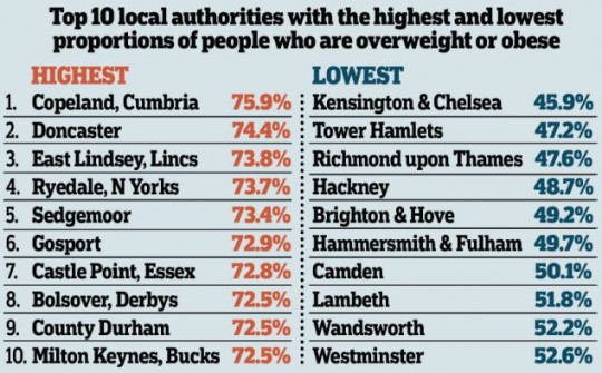 fat areas