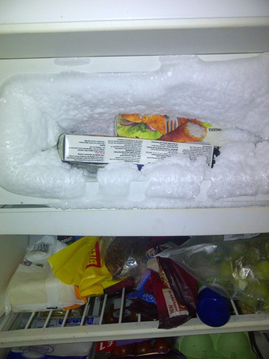 That time my freezer ate my fish fingers