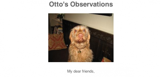 Otto's observations