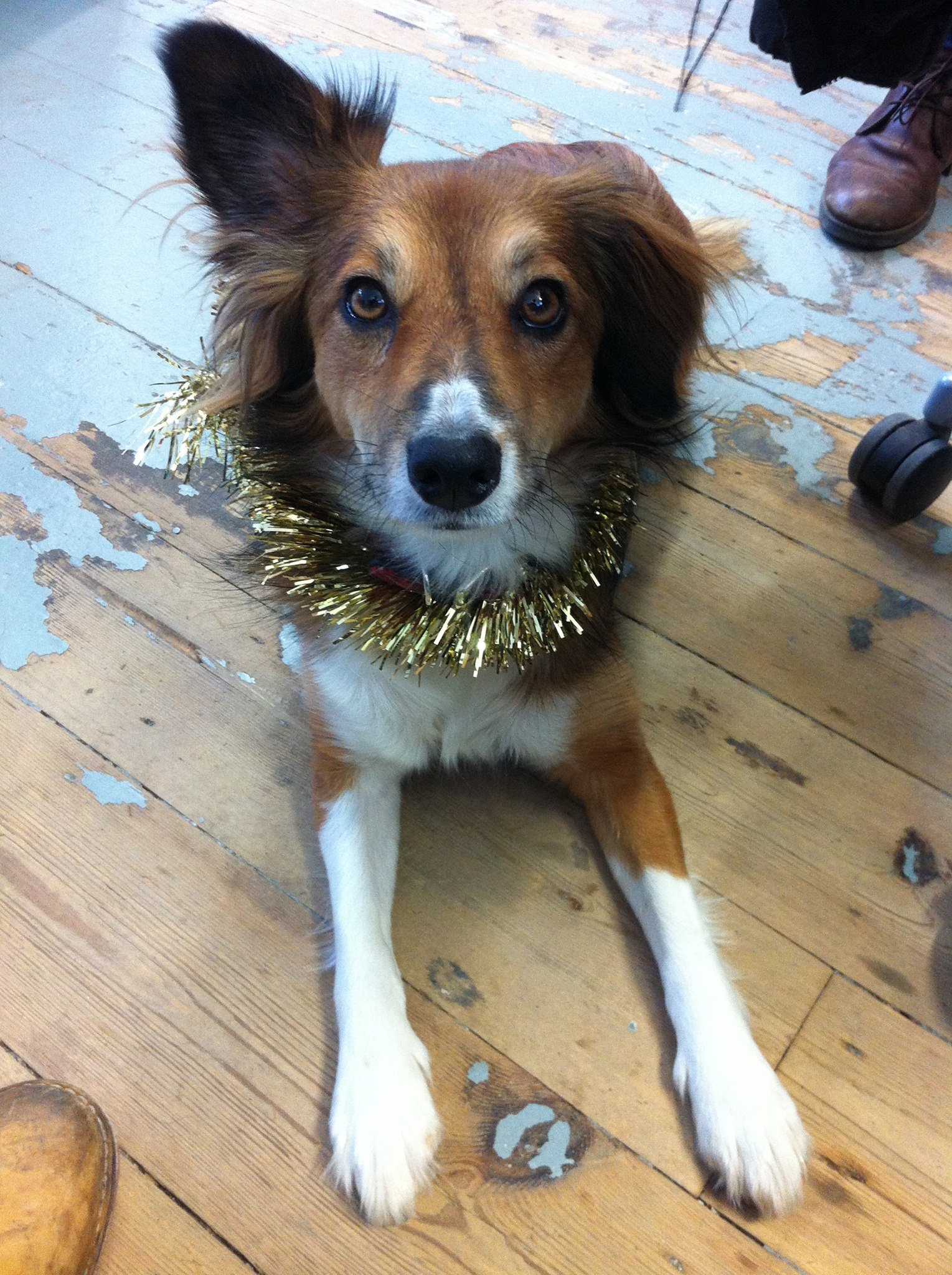 Tia strikes a pose in tinsel