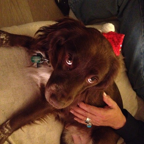 Rosie's hat lets her pretty pout do the talking
