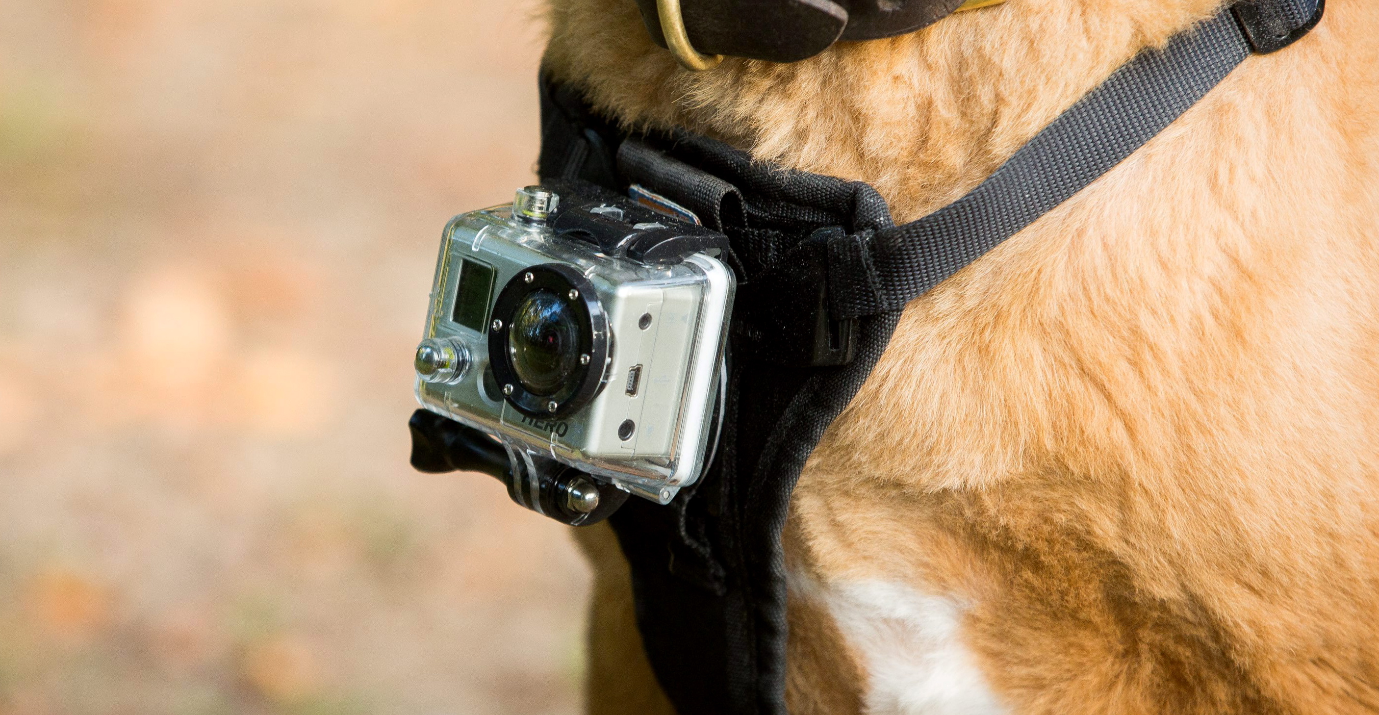 SWNS_GOPRO_FOUND_14